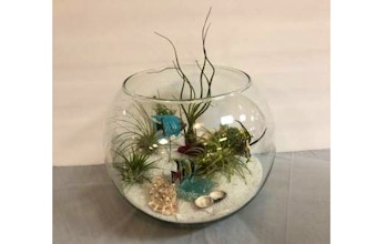 All Ages Plant Nite: Underwater II